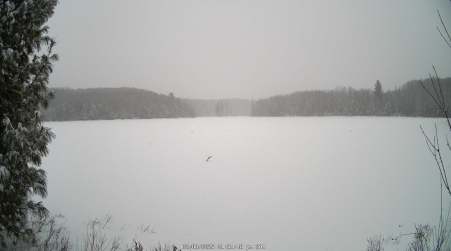 Image from 2025-02-08