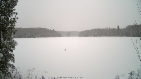 Image from 2025-02-08