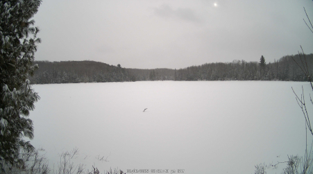 Image from 2025-02-08