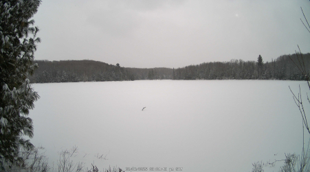 Image from 2025-02-08