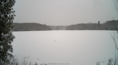 Image from 2025-02-08
