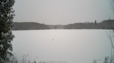 Image from 2025-02-08