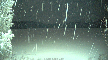 Image from 2025-02-08