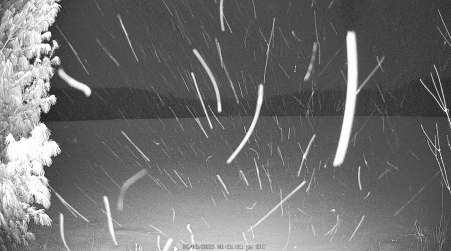 Image from 2025-02-08