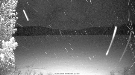 Image from 2025-02-08