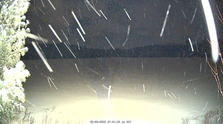 Image from 2025-02-08