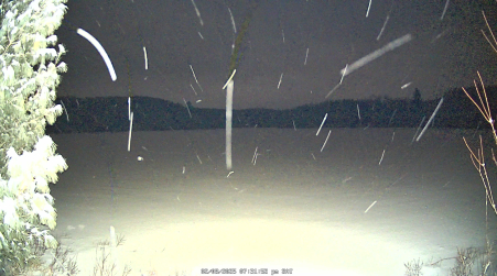 Image from 2025-02-08