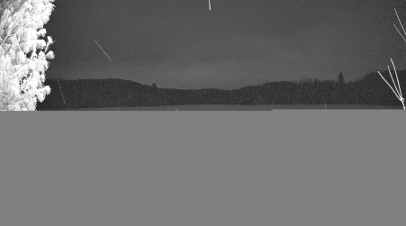 Image from 2025-02-08