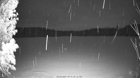 Image from 2025-02-08