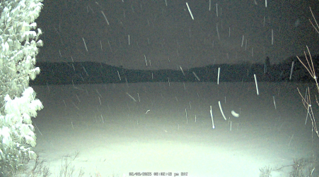 Image from 2025-02-08