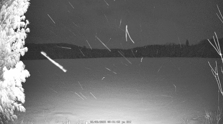 Image from 2025-02-08