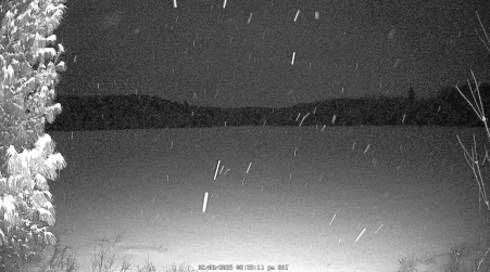 Image from 2025-02-08