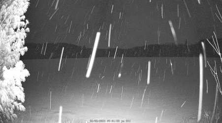 Image from 2025-02-08