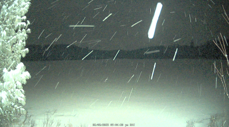 Image from 2025-02-08