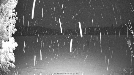 Image from 2025-02-08