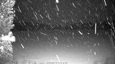 Image from 2025-02-08