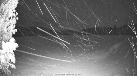 Image from 2025-02-08