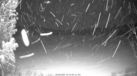 Image from 2025-02-08