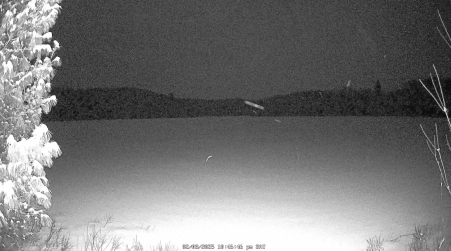 Image from 2025-02-08