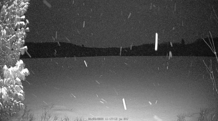Image from 2025-02-08