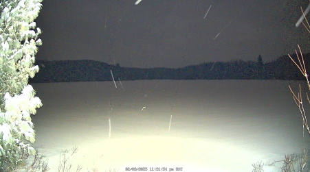 Image from 2025-02-08