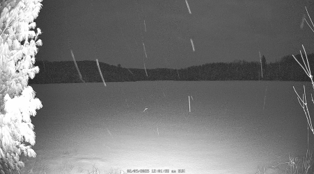 Image from 2025-02-09