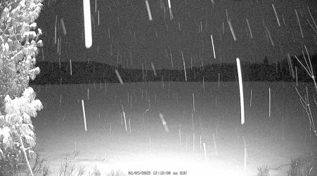 Image from 2025-02-09