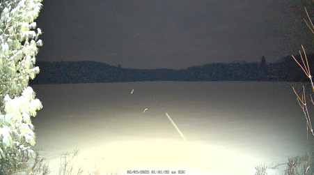 Image from 2025-02-09