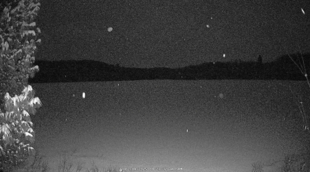 Image from 2025-02-09
