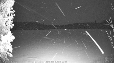 Image from 2025-02-09
