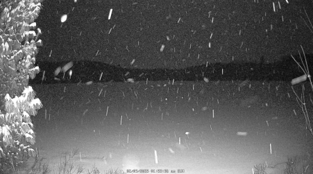 Image from 2025-02-09