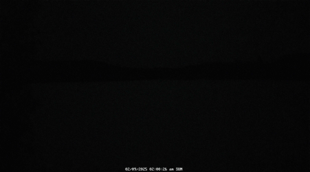 Image from 2025-02-09