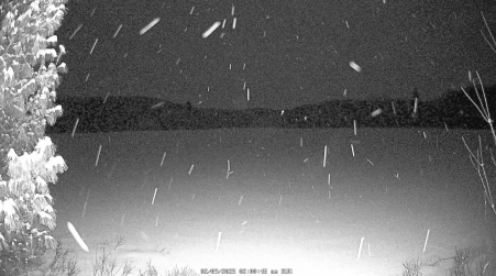 Image from 2025-02-09