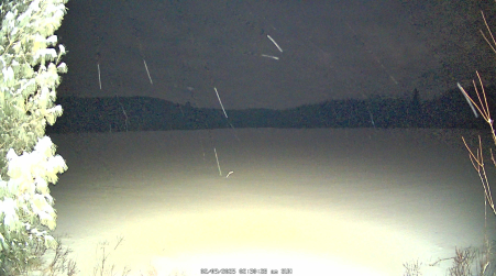 Image from 2025-02-09