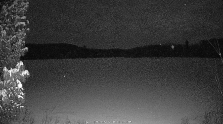 Image from 2025-02-09