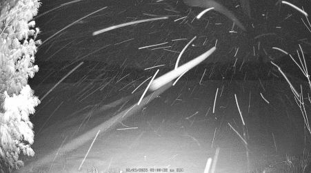 Image from 2025-02-09
