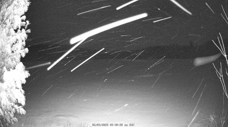 Image from 2025-02-09