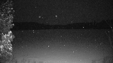 Image from 2025-02-09