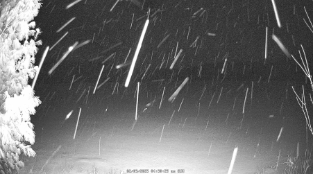 Image from 2025-02-09