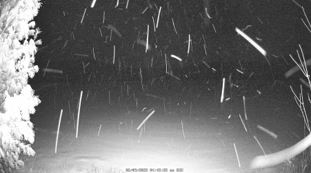 Image from 2025-02-09