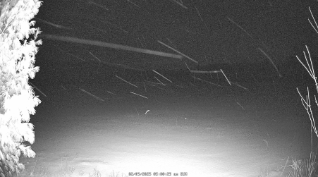 Image from 2025-02-09