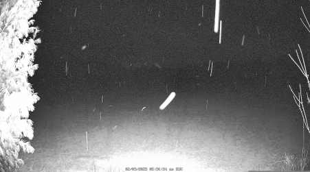 Image from 2025-02-09
