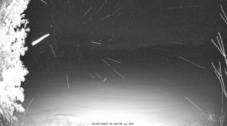 Image from 2025-02-09