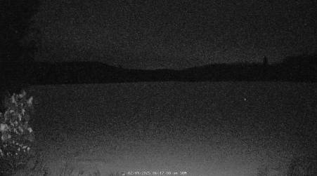 Image from 2025-02-09