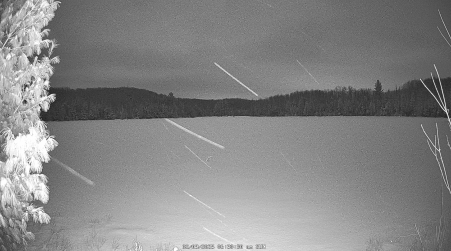 Image from 2025-02-09