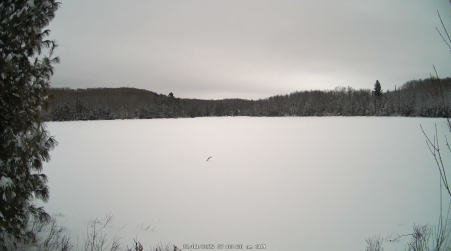 Image from 2025-02-09