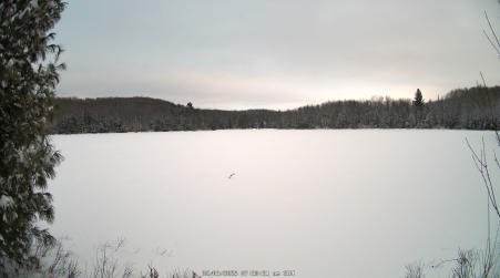Image from 2025-02-09