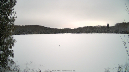 Image from 2025-02-09