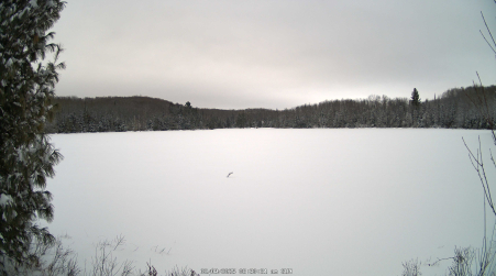 Image from 2025-02-09