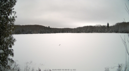 Image from 2025-02-09
